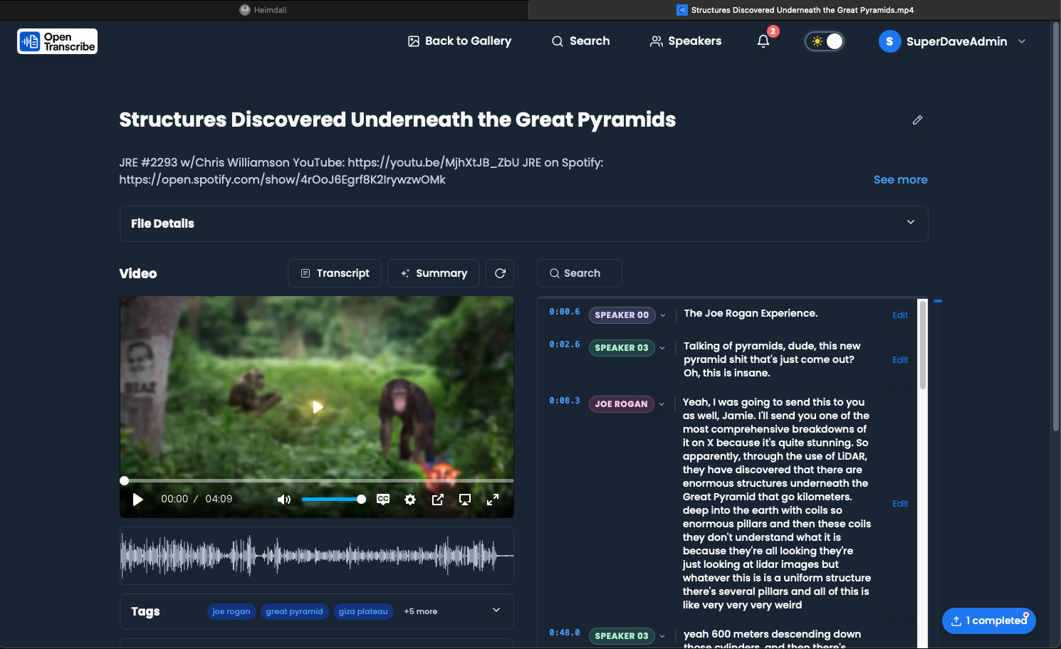 File detail page with video player and synchronized transcript